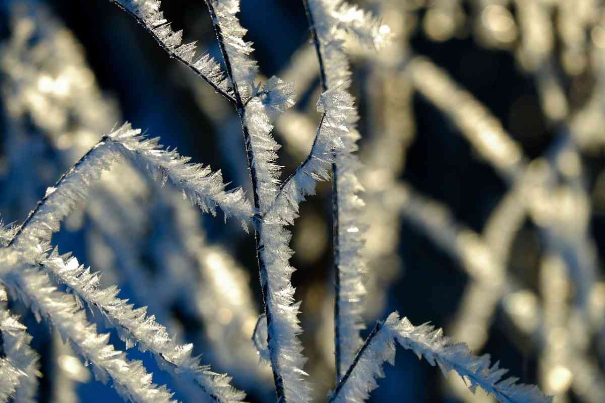 Tanto freddo puglia nei prossimi giorni